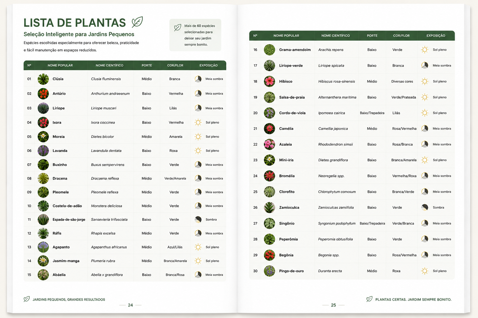 Lista de Plantas com +60 espécies