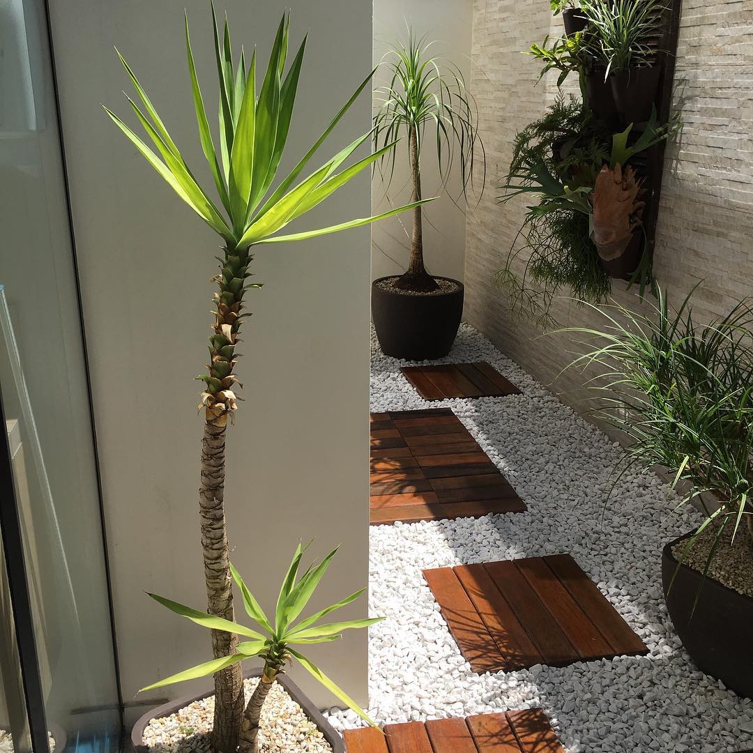 Corredor lateral moderno com yucas, pedras brancas e deck