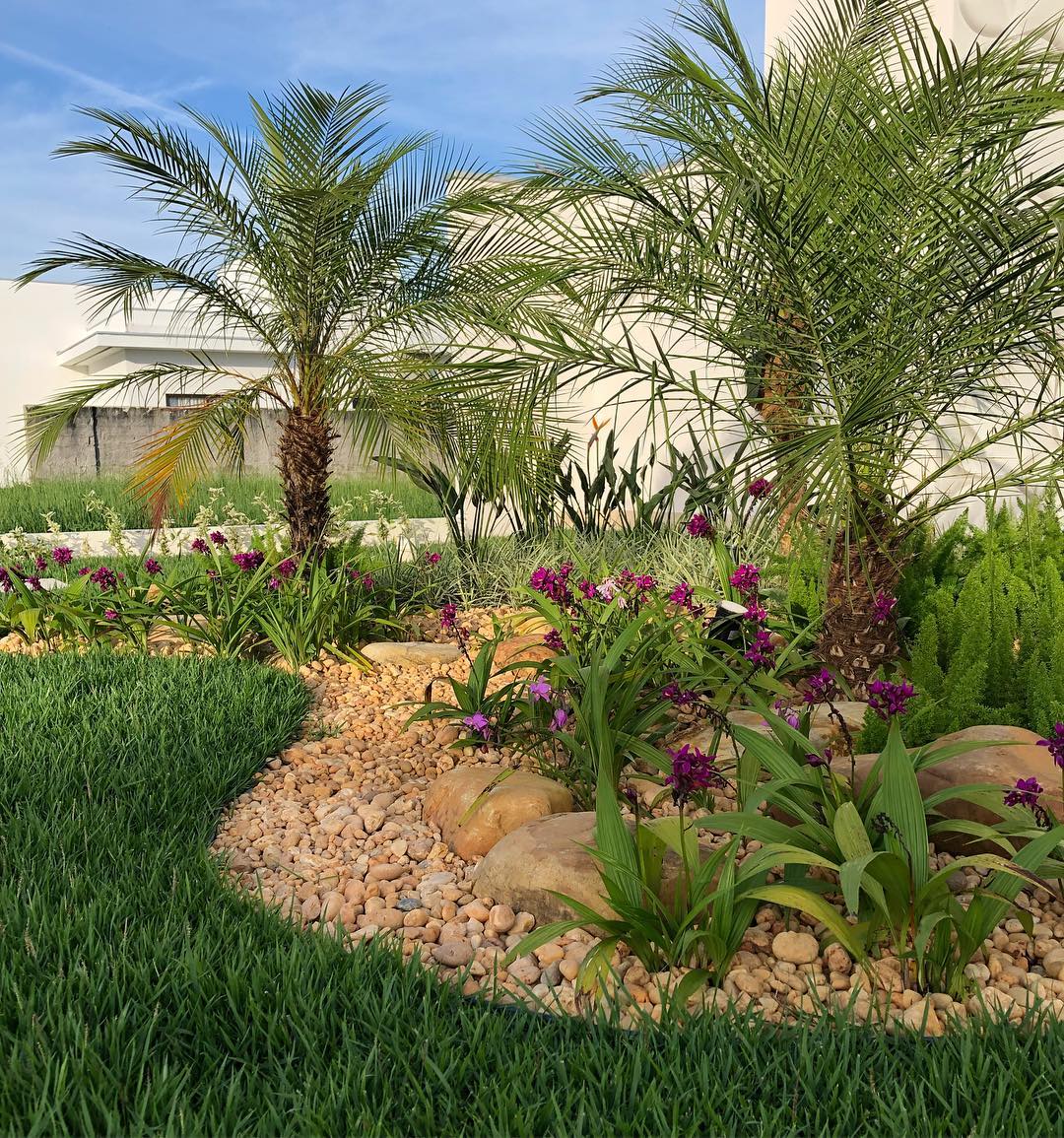 Jardim frontal com palmeiras phoenix, pedras e flores roxas