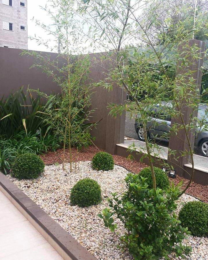 Jardim minimalista com pedras e buxinhos