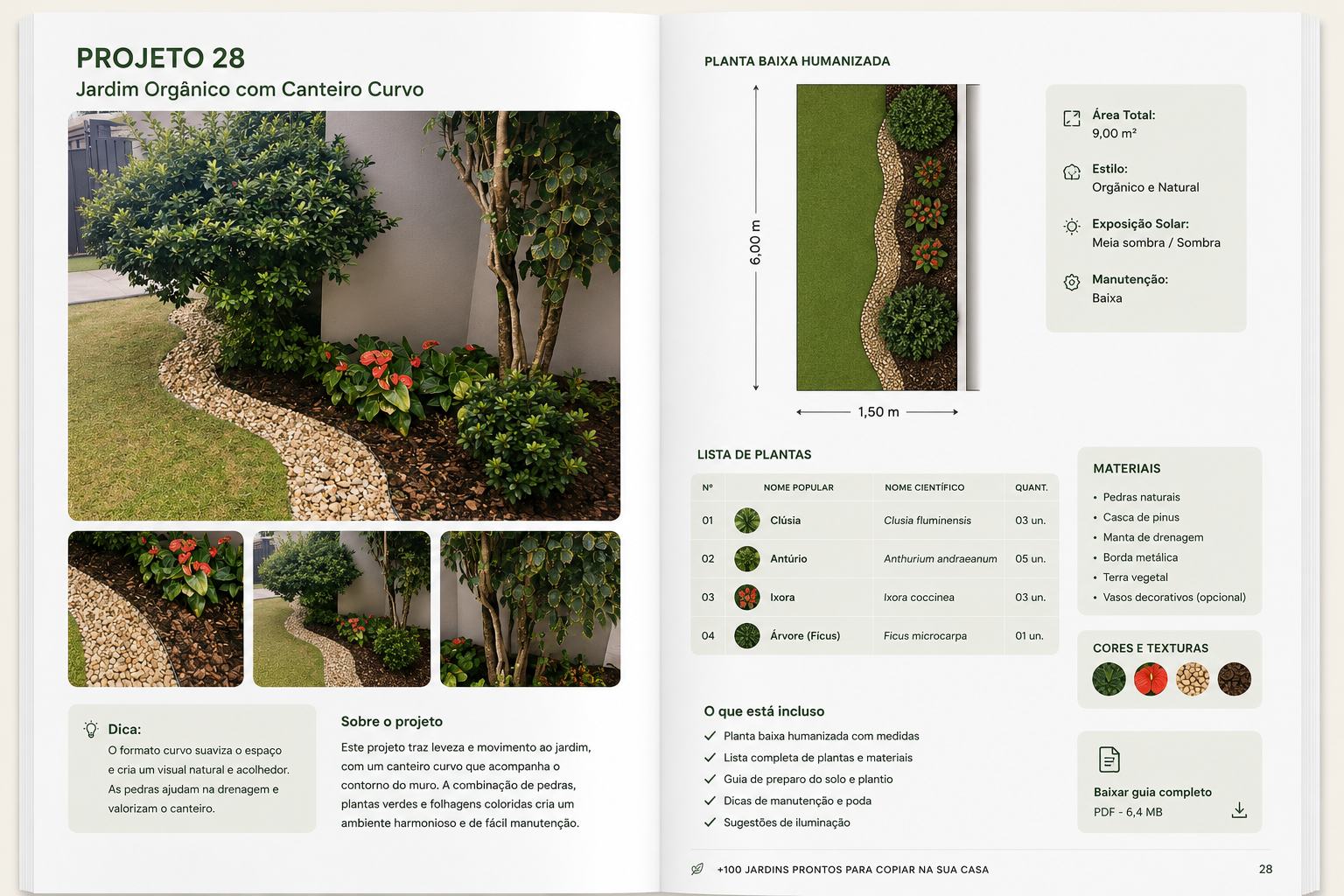 Jardim Orgânico com Canteiro Curvo